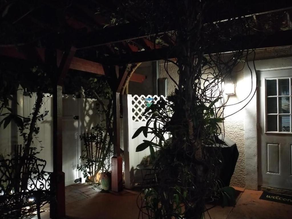 Tampa Bay Beautiful Apartment And Private Jacuzzi Bagian luar foto