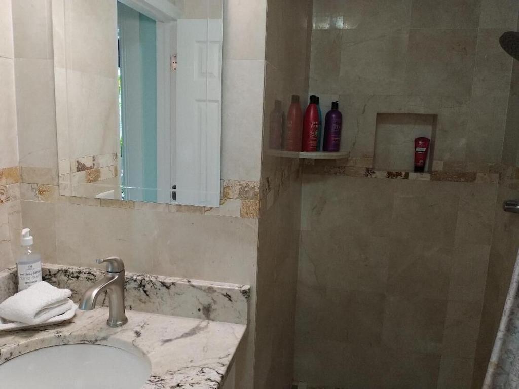 Tampa Bay Beautiful Apartment And Private Jacuzzi Bagian luar foto